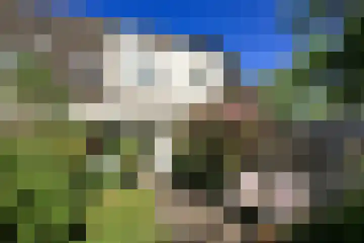 Prinsessekade 55 Haarlem thumbnail 22