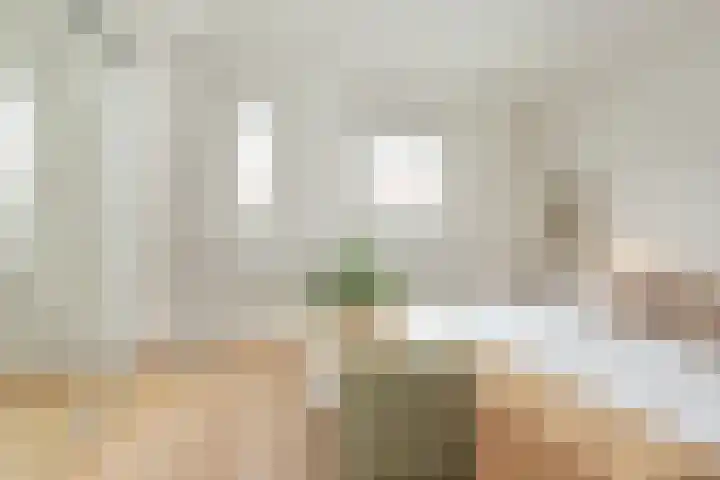 Prinsessekade 55 Haarlem thumbnail 30