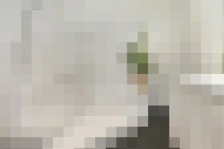 Prinsessekade 55 Haarlem thumbnail 34