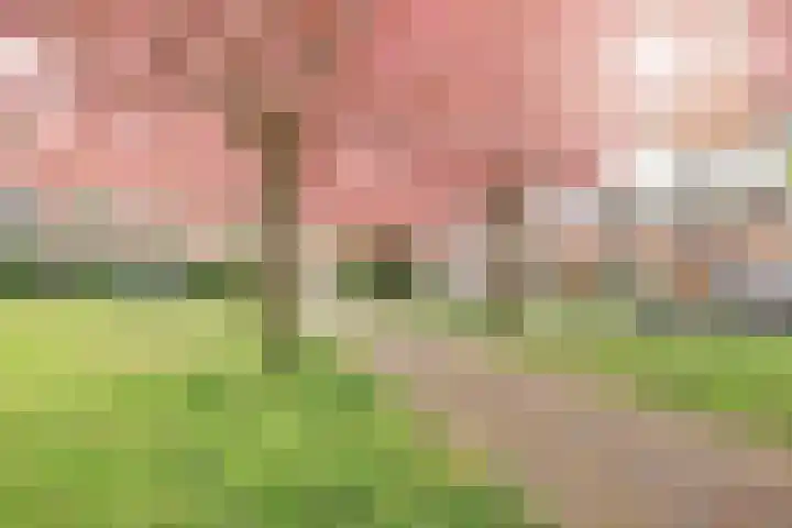 Prinsessekade 55 Haarlem thumbnail 56