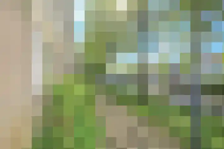 Prinsessekade 55 Haarlem thumbnail 6