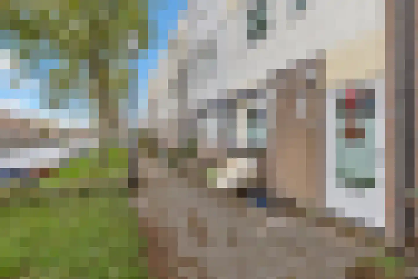 Prinsessekade 59 Haarlem thumbnail 4