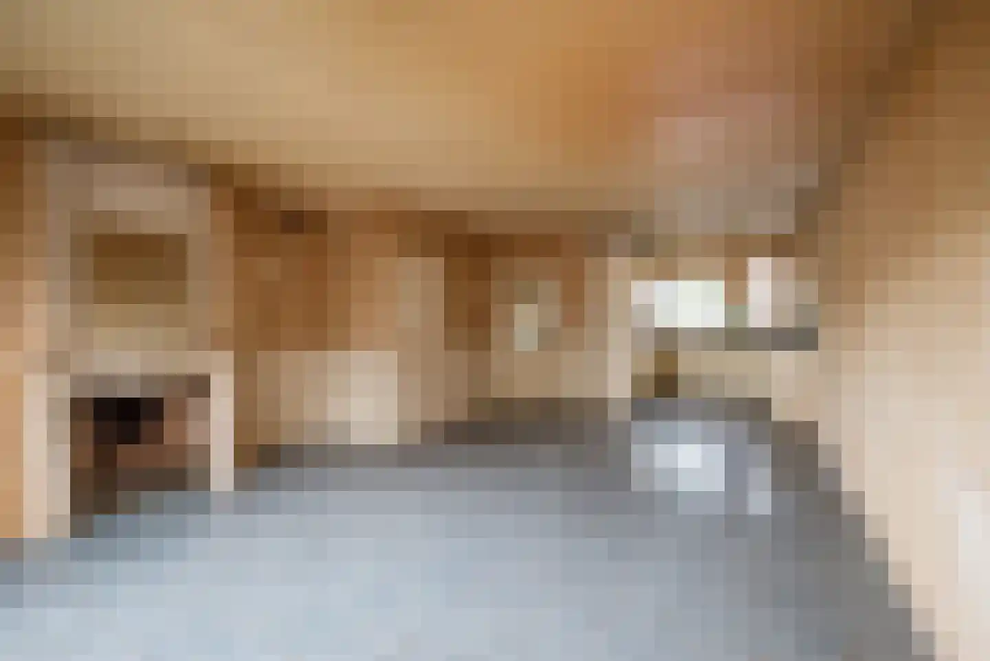 Prinsessekade 61 Haarlem thumbnail 7