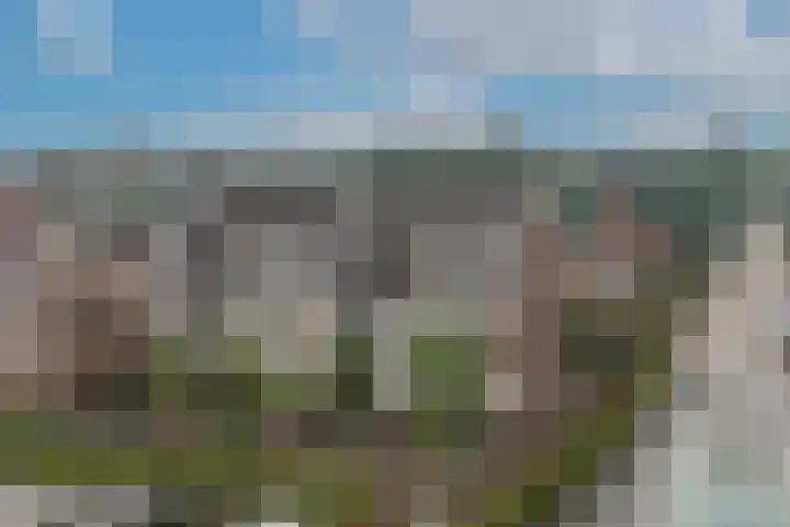 Prinsesselaan 1 B Ermelo thumbnail 32