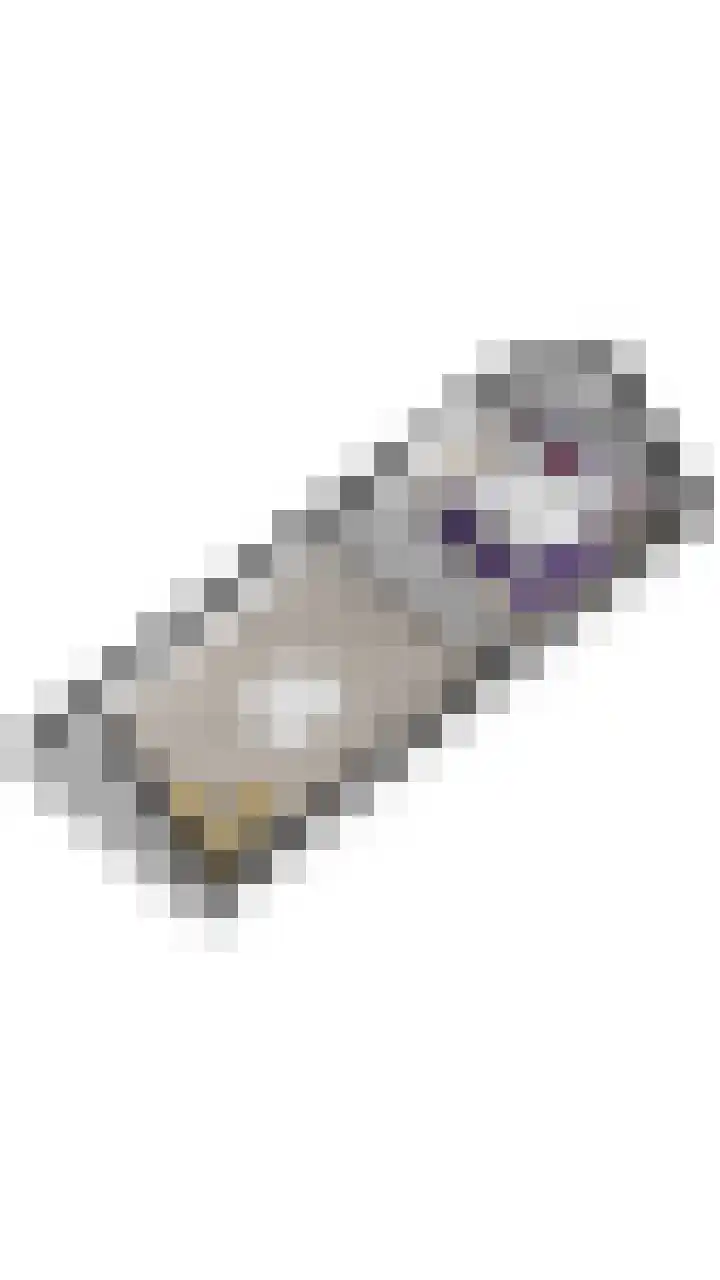 Prinsesselaan 1 B Ermelo thumbnail 39