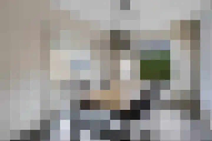 Prinsesselaan 10 Ermelo thumbnail 10