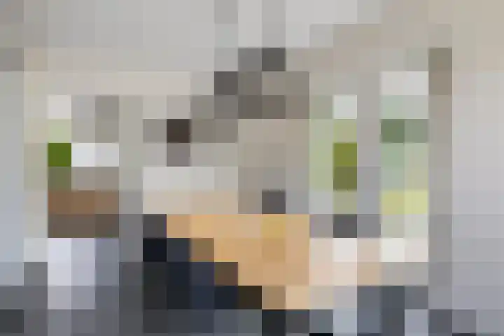 Prinsesselaan 10 Ermelo thumbnail 12