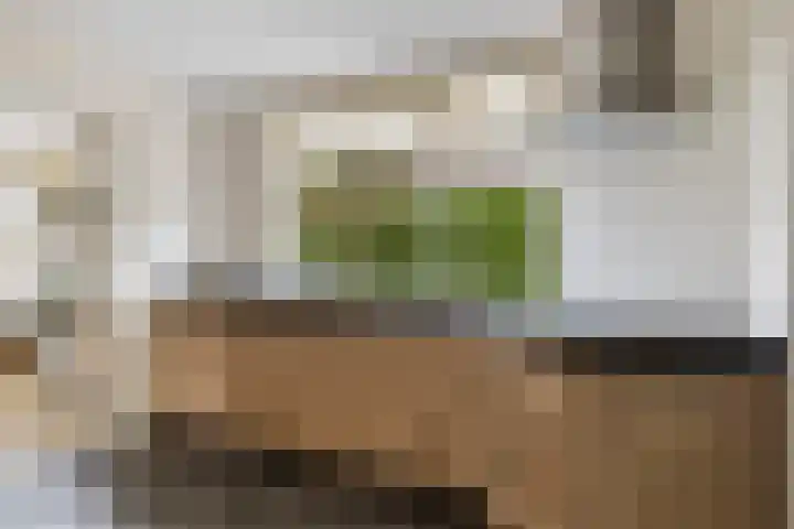 Prinsesselaan 10 Ermelo thumbnail 13
