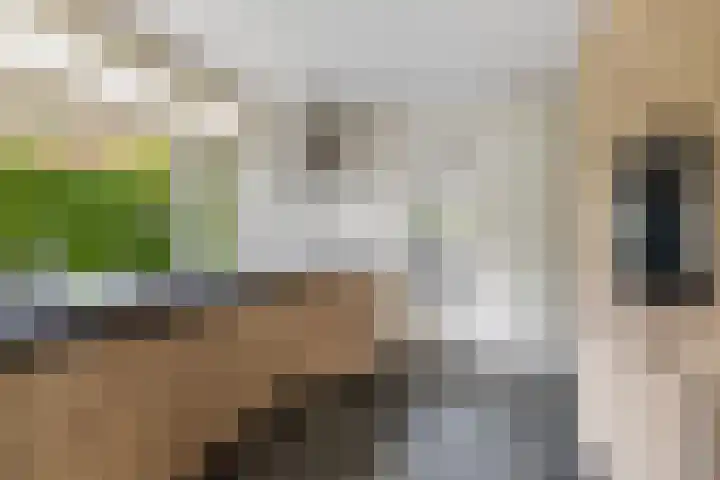 Prinsesselaan 10 Ermelo thumbnail 14