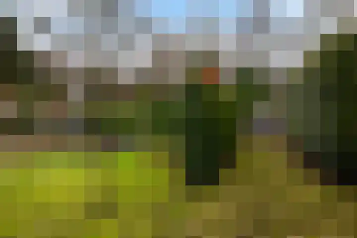 Prinsesselaan 10 Ermelo thumbnail 39