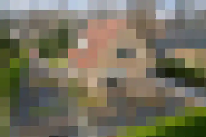 Prinsesselaan 10 Ermelo thumbnail 4
