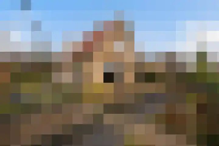 Prinsesselaan 10 Ermelo thumbnail 42