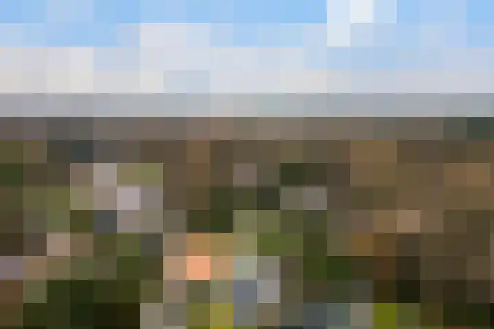 Prinsesselaan 10 Ermelo thumbnail 47