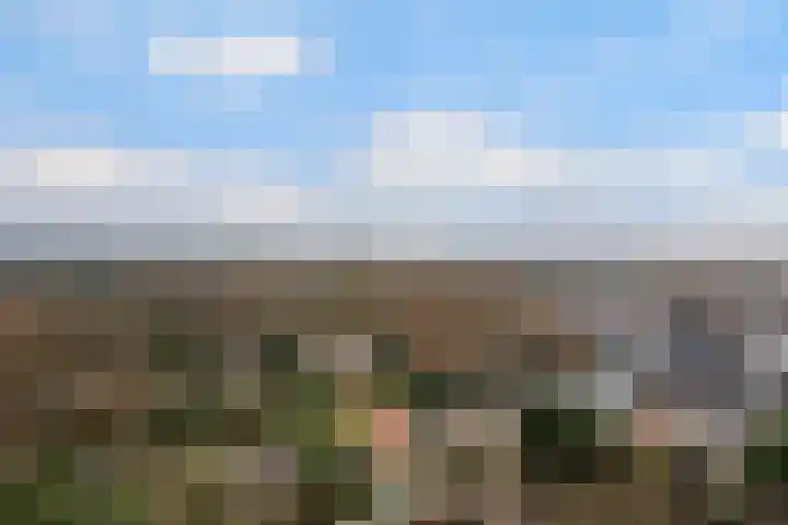 Prinsesselaan 10 Ermelo thumbnail 48