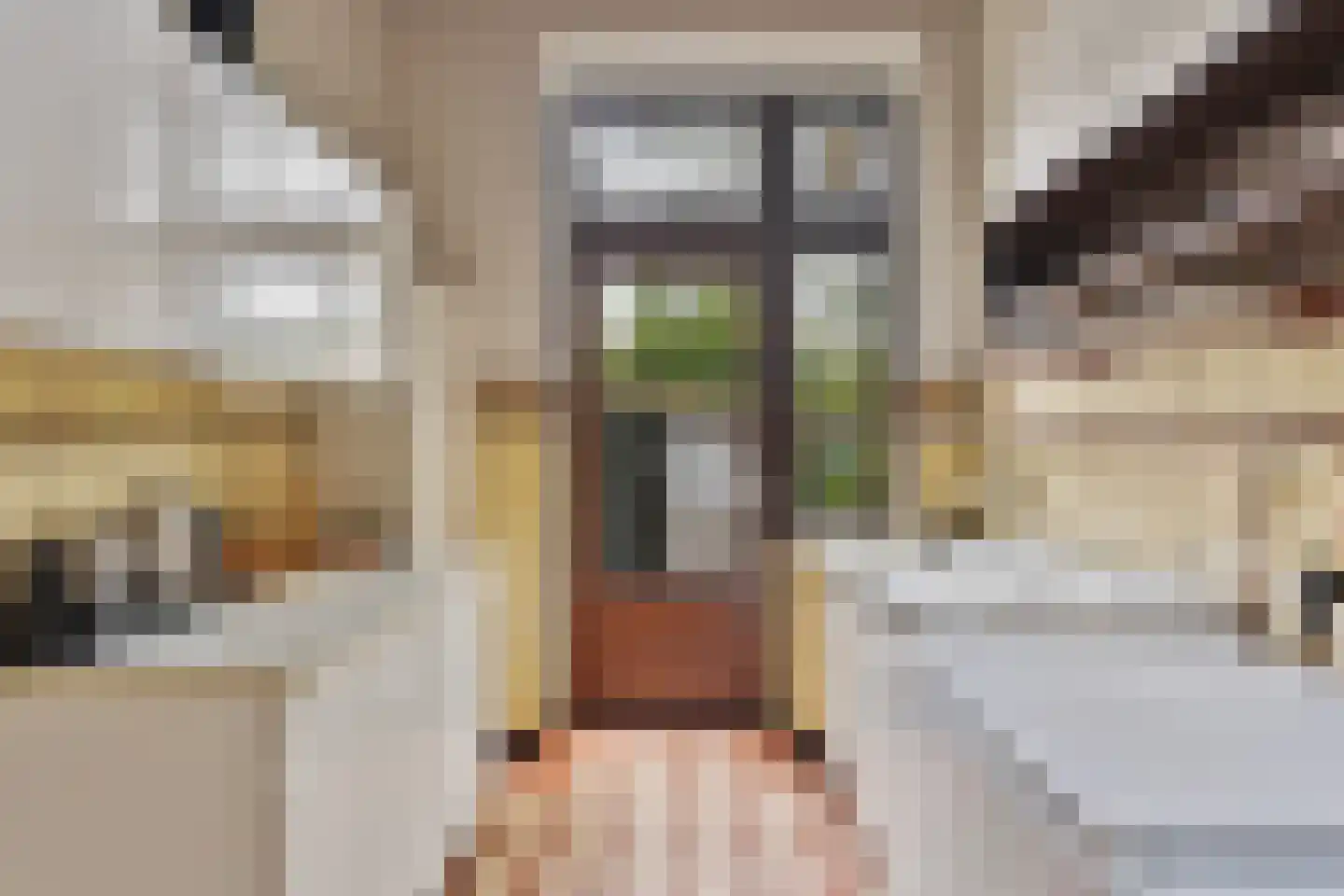 Prinsesselaan 10 Maastricht thumbnail 17