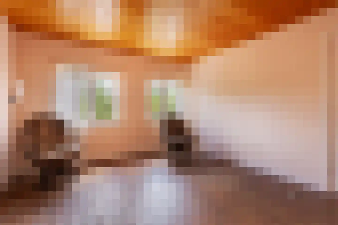 Prinsesselaan 10 Maastricht thumbnail 33