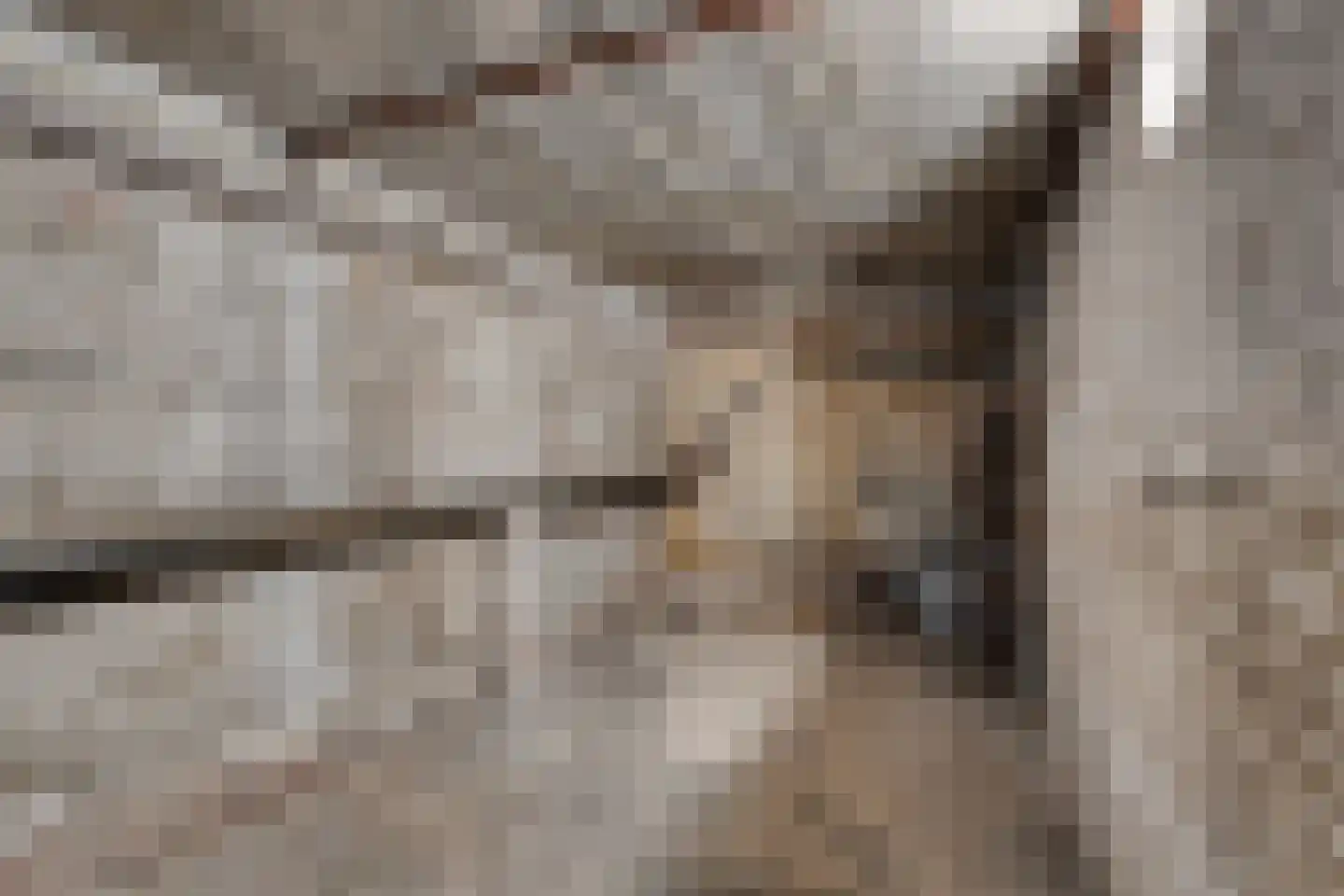 Prinsesselaan 10 Maastricht thumbnail 42