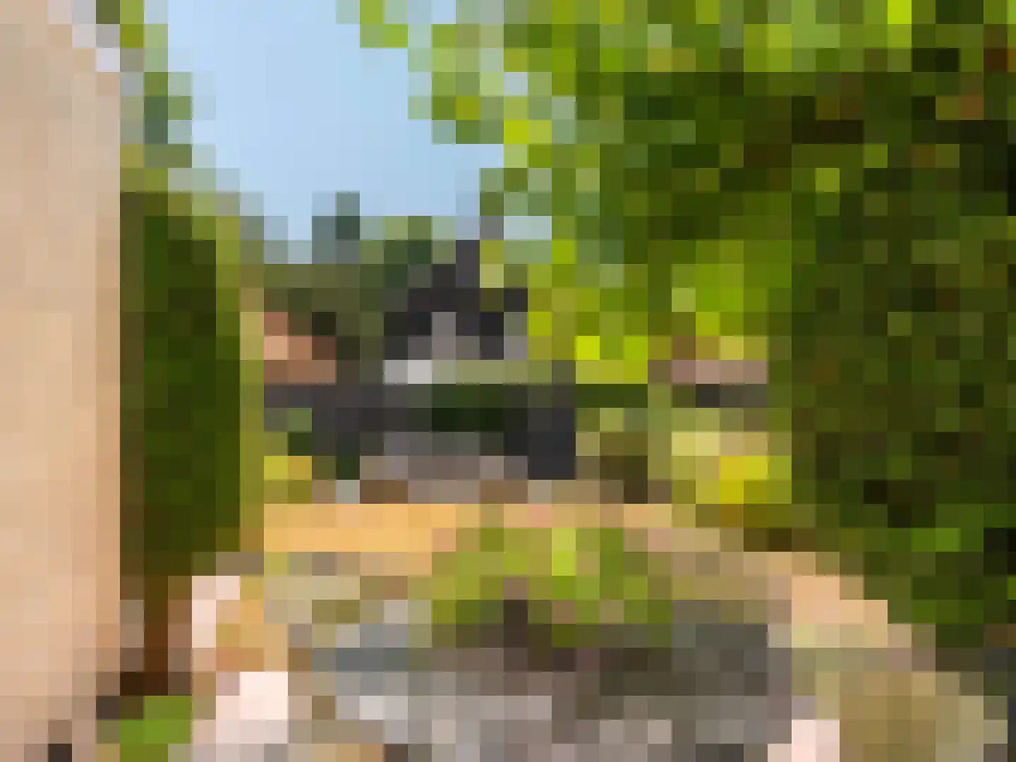 Prinsesselaan 13 Bergen (NH) thumbnail 31