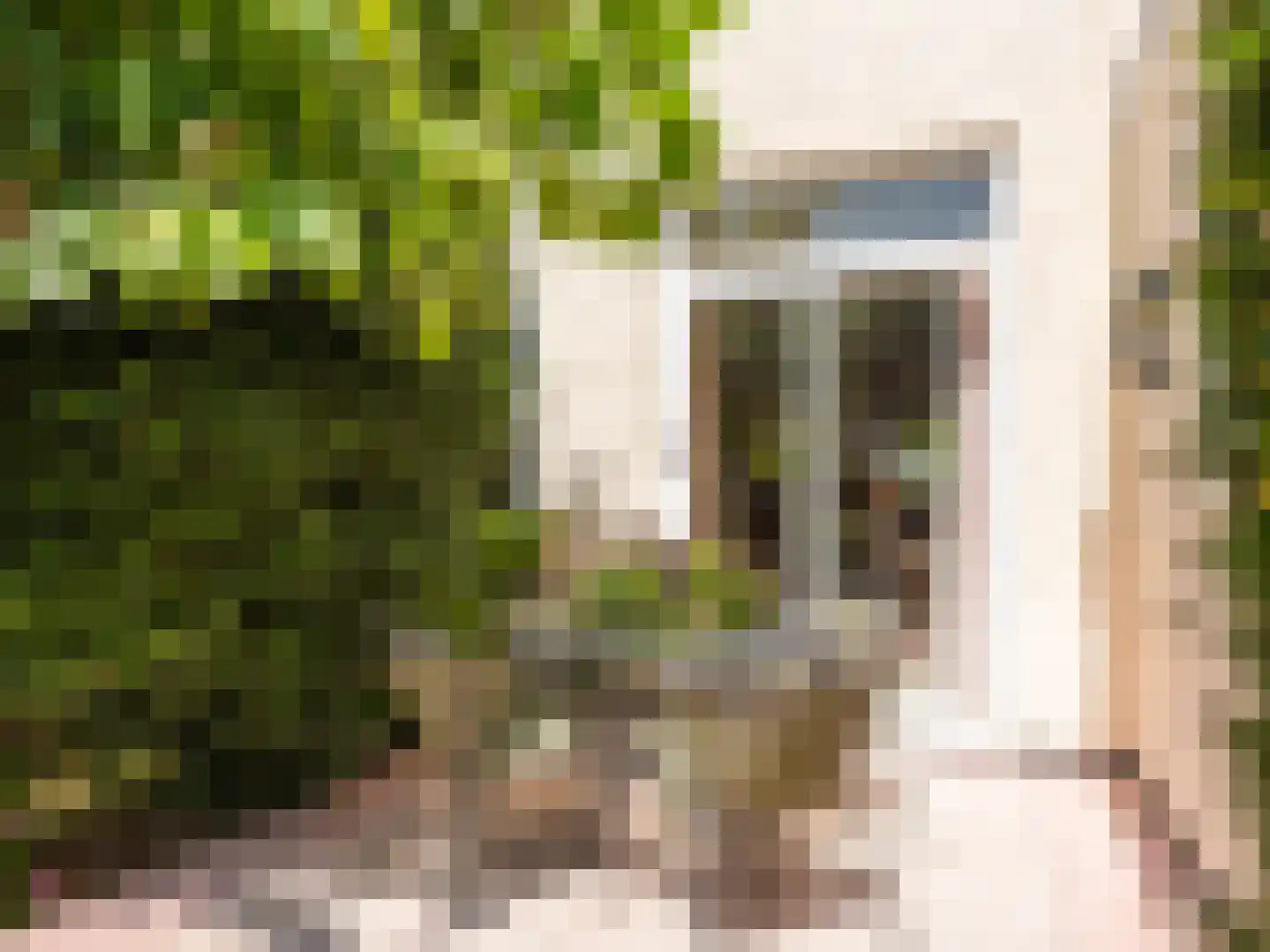 Prinsesselaan 13 Bergen (NH) thumbnail 32