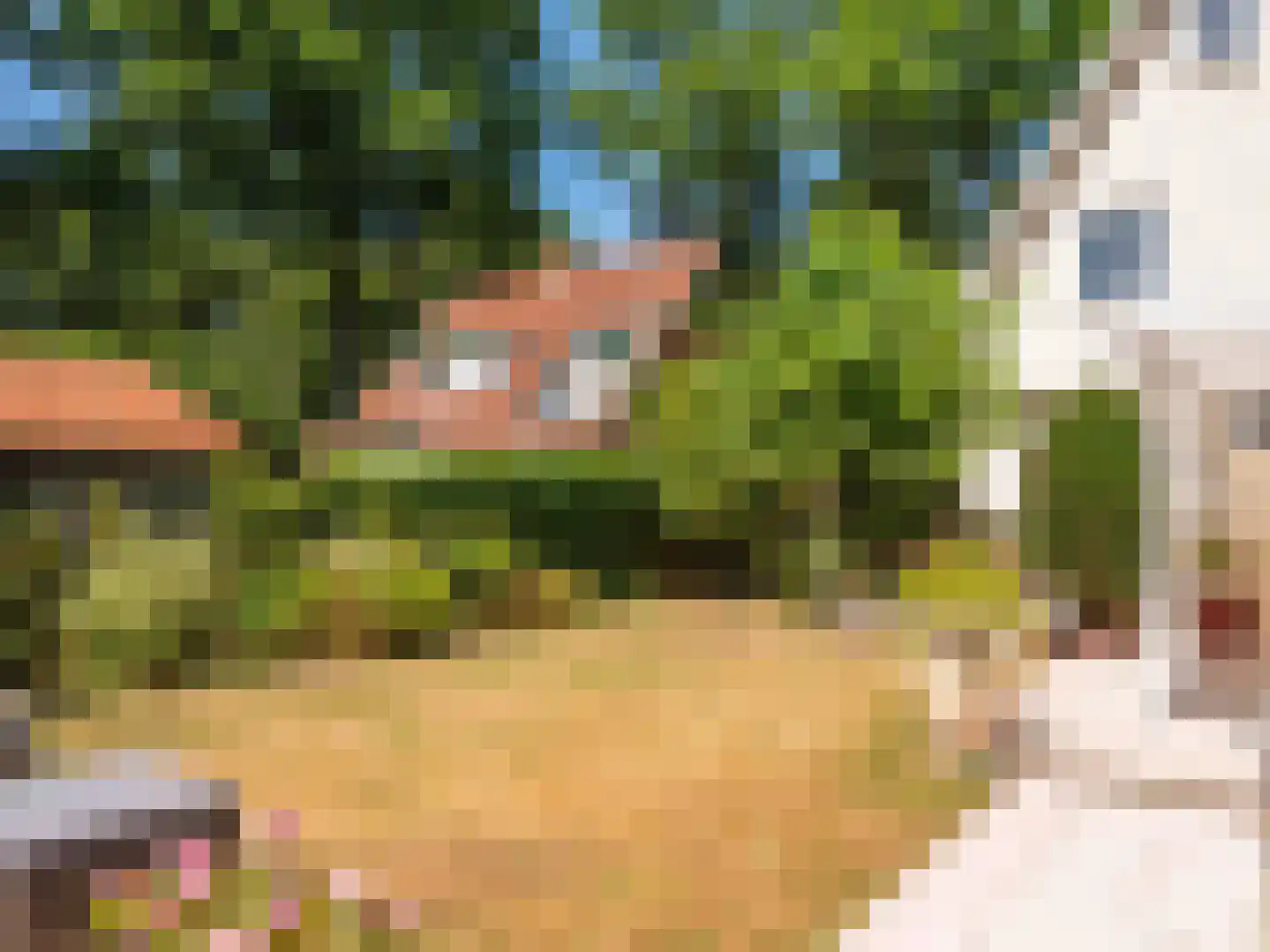 Prinsesselaan 13 Bergen (NH) thumbnail 33