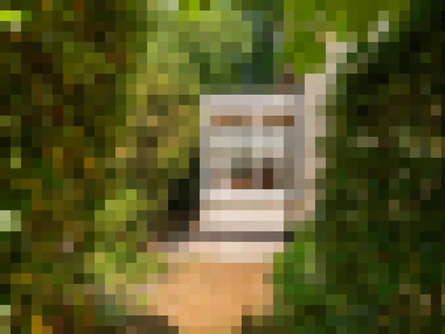 Prinsesselaan 13 Bergen (NH) thumbnail 34