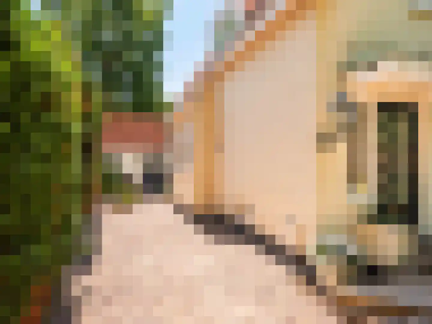 Prinsesselaan 13 Bergen (NH) thumbnail 37
