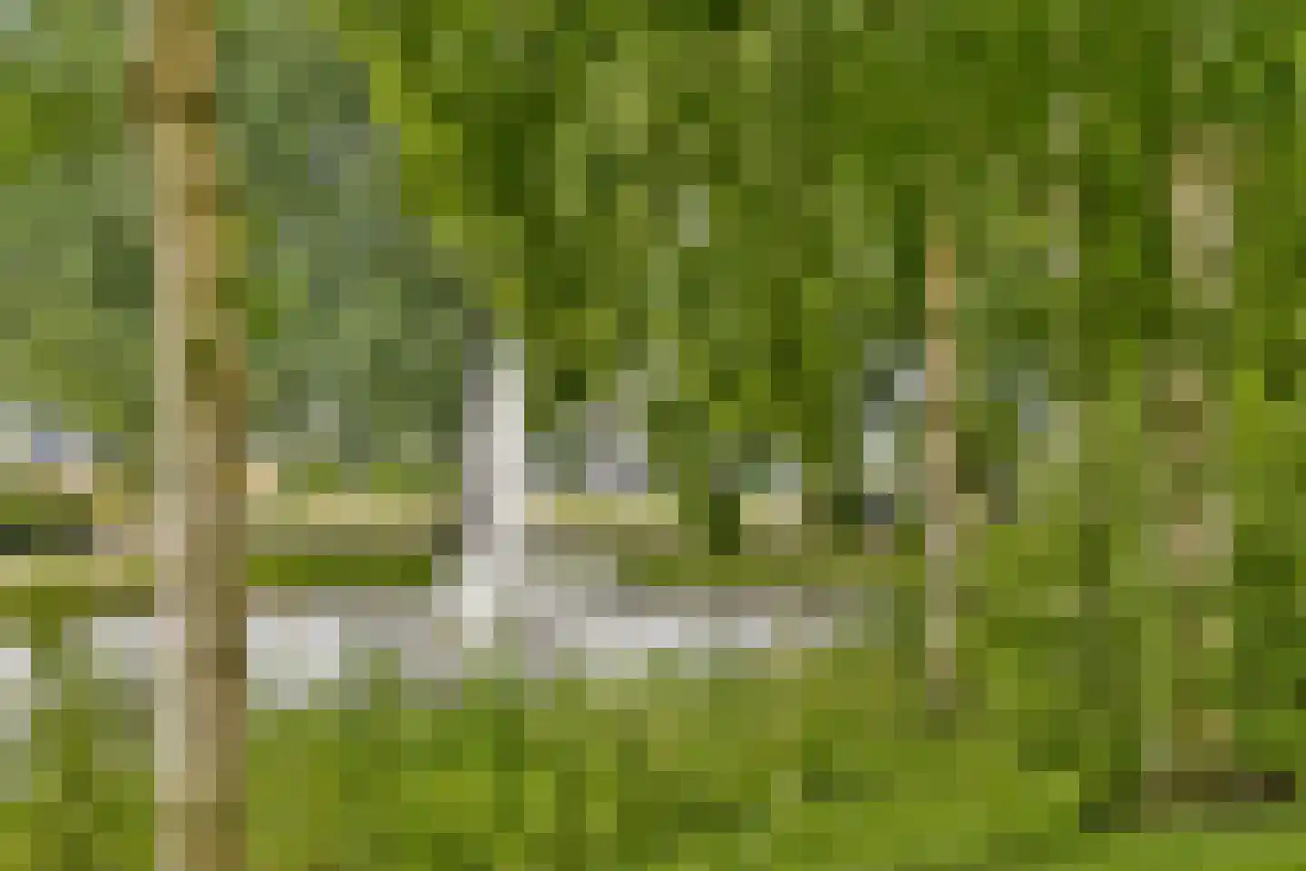 Prinsesselaan 13 Beverwijk thumbnail 45