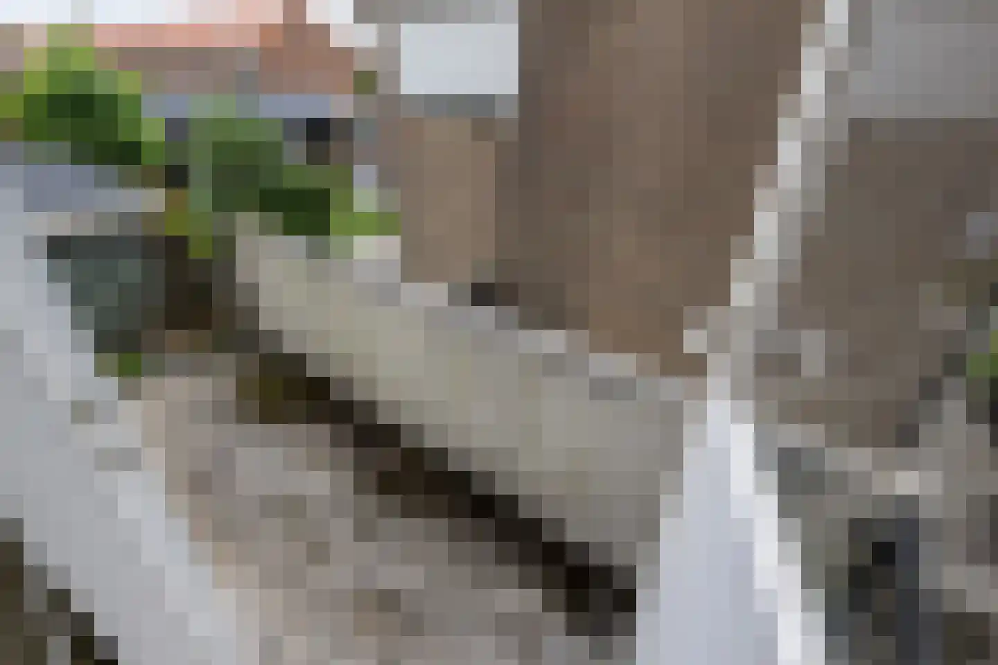 Prinsesselaan 15 Sommelsdijk thumbnail 16