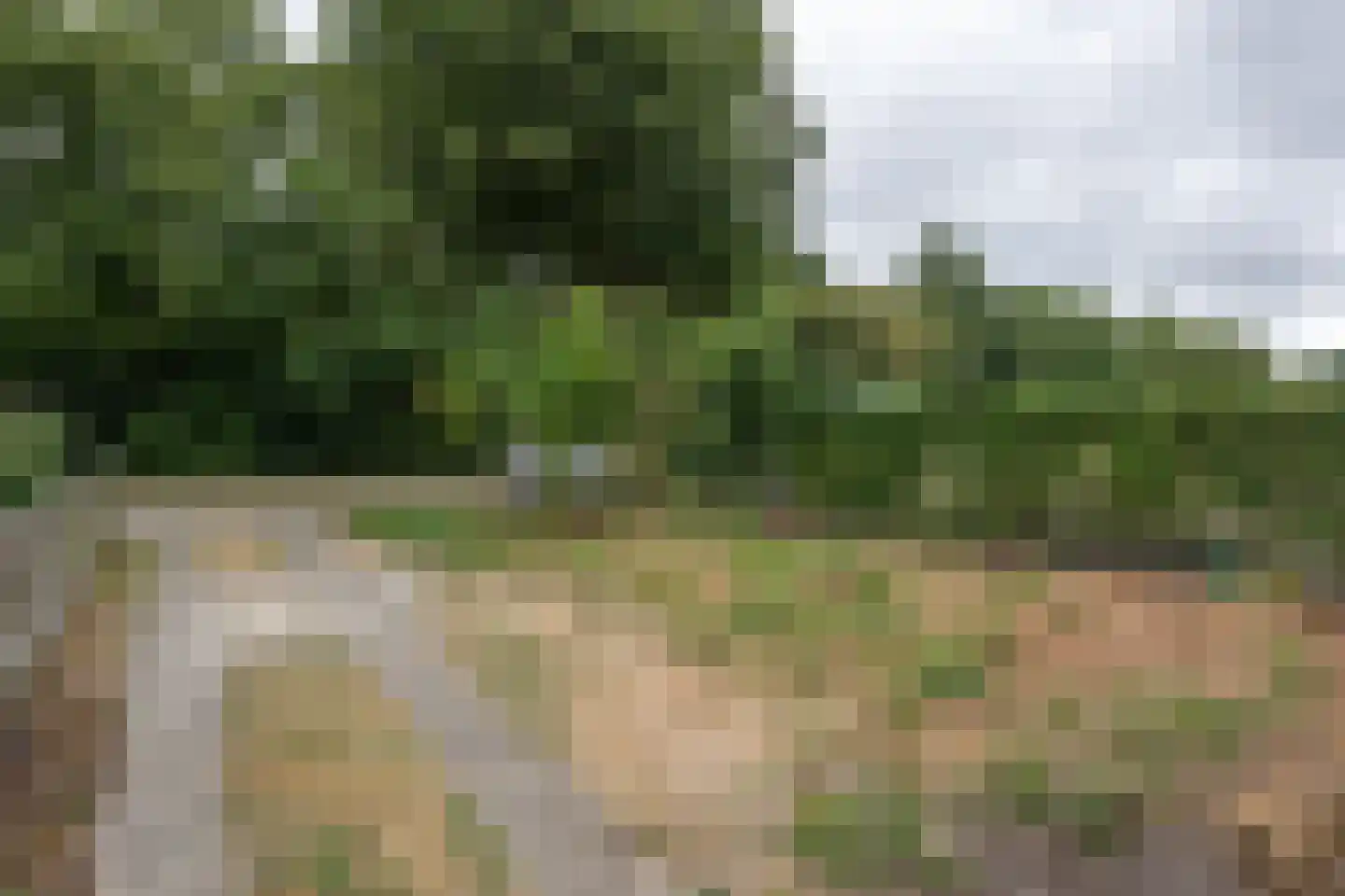 Prinsesselaan 15 Sommelsdijk thumbnail 23