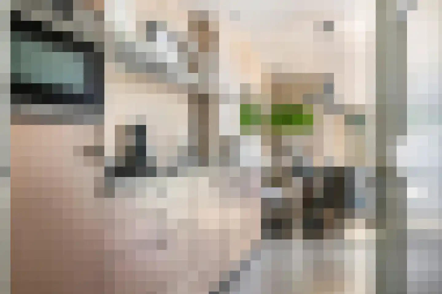 Prinsesselaan 16 Veenendaal thumbnail 13