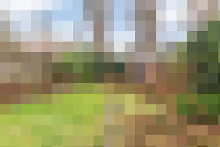 Prinsesselaan 18 Beverwijk thumbnail 37