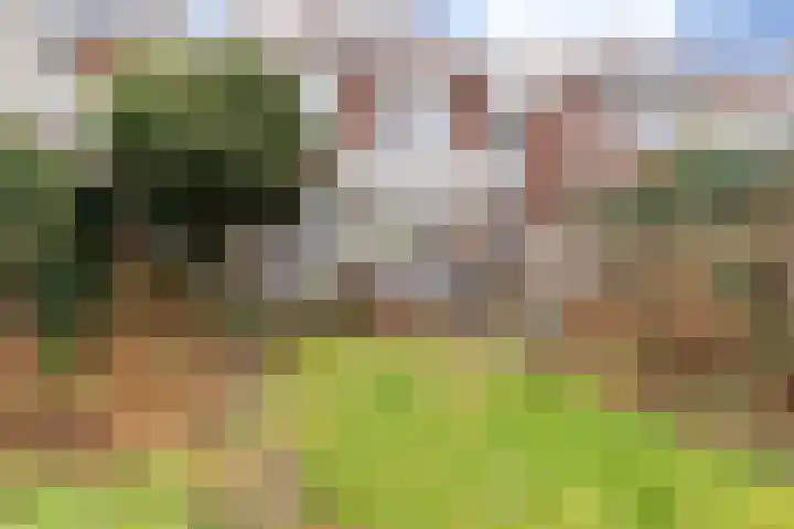 Prinsesselaan 18 Beverwijk thumbnail 38
