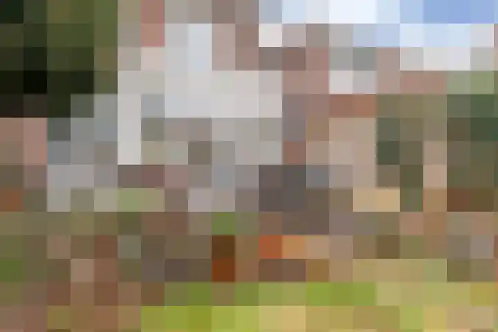 Prinsesselaan 18 Beverwijk thumbnail 39