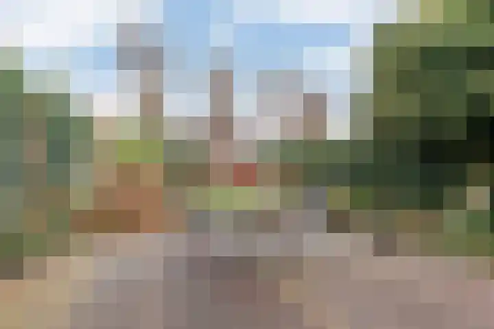 Prinsesselaan 18 Beverwijk thumbnail 41