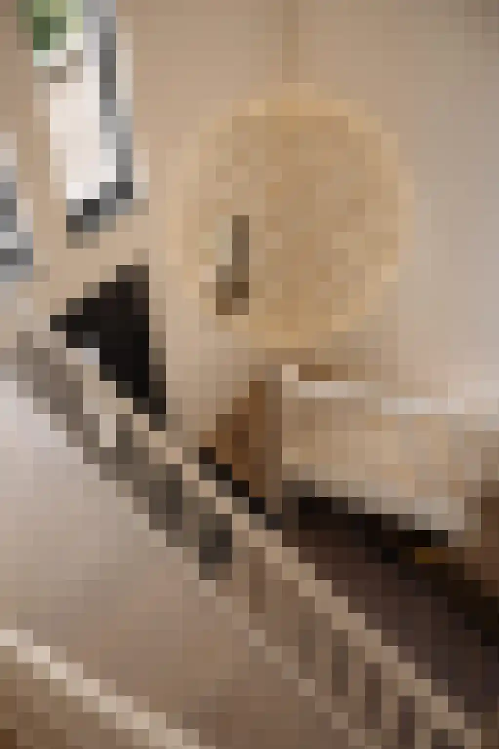Prinsesselaan 21 Bergen (NH) thumbnail 29
