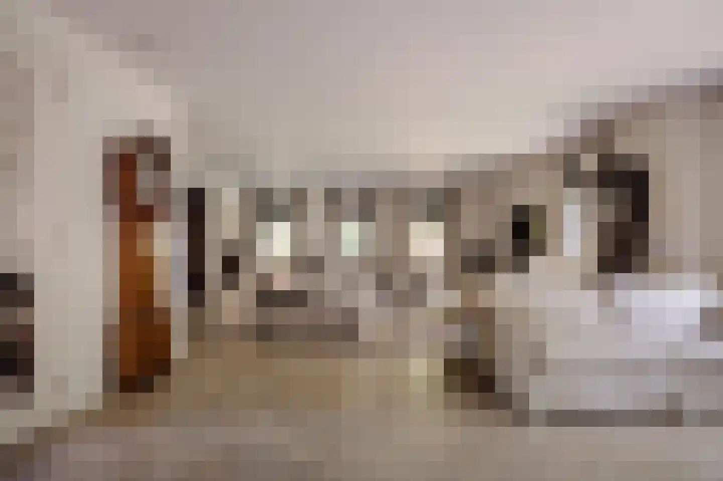 Prinsesselaan 21 Bergen (NH) thumbnail 5