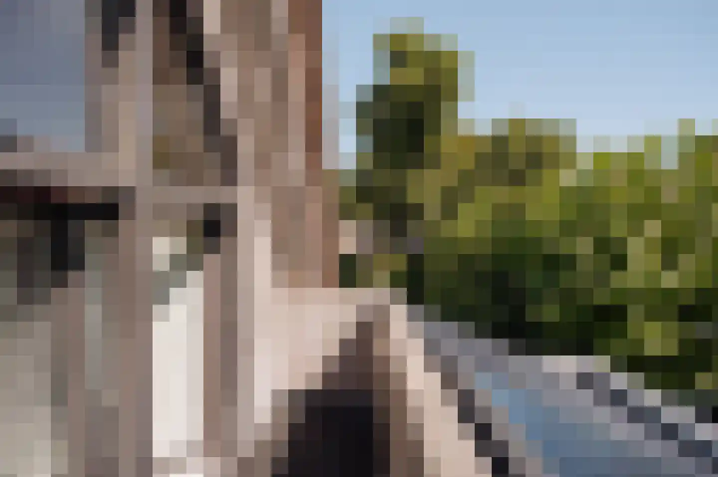 Prinsesselaan 21 Bergen (NH) thumbnail 57