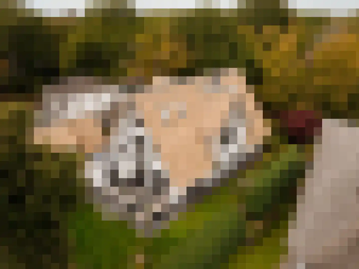 Prinsesselaan 21 Bergen (NH) thumbnail 59