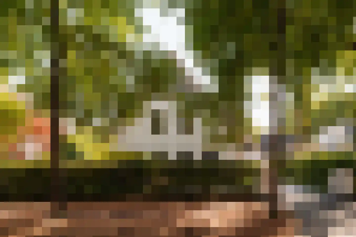 Prinsesselaan 21 Bergen (NH) thumbnail 60