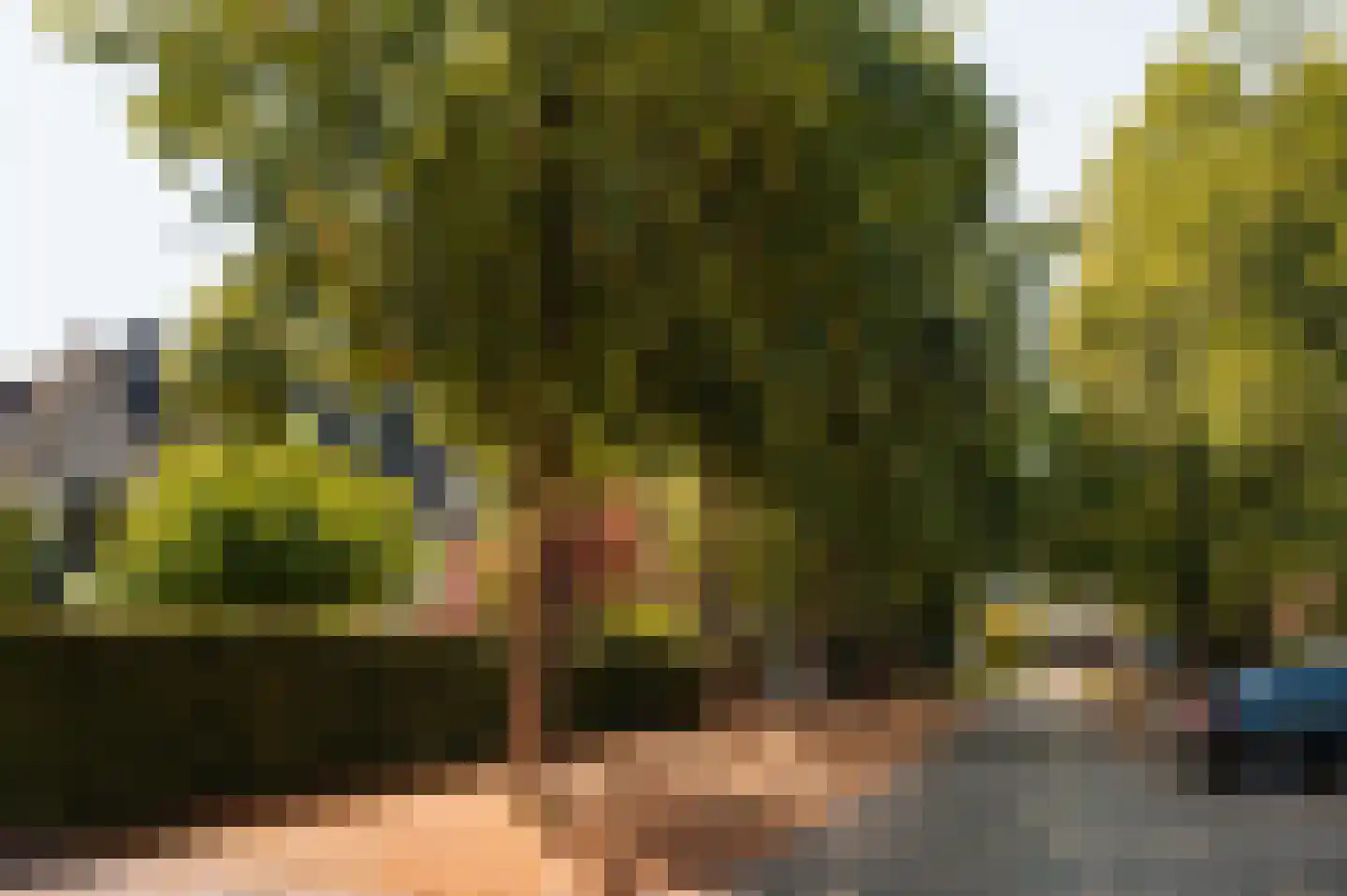 Prinsesselaan 21 Bergen (NH) thumbnail 66
