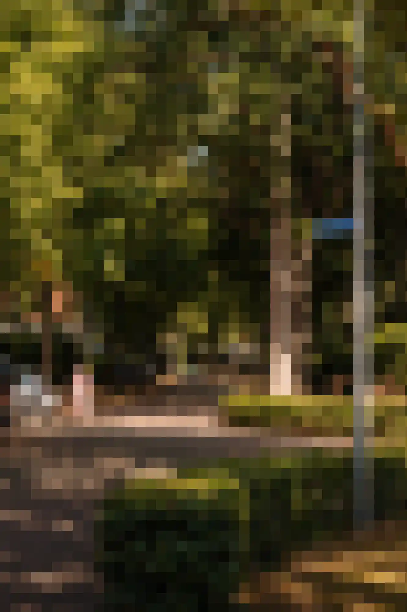 Prinsesselaan 21 Bergen (NH) thumbnail 67