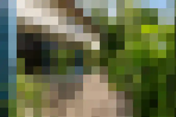 Prinsesselaan 24 Ermelo thumbnail 31