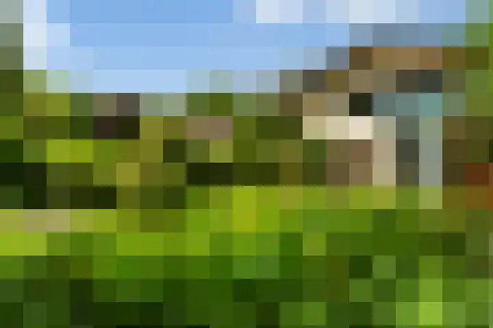 Prinsesselaan 24 Ermelo thumbnail 33
