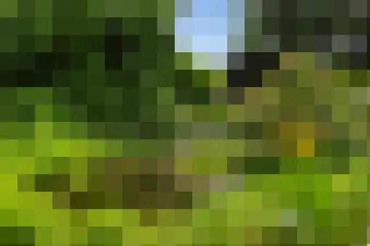Prinsesselaan 24 Ermelo thumbnail 34