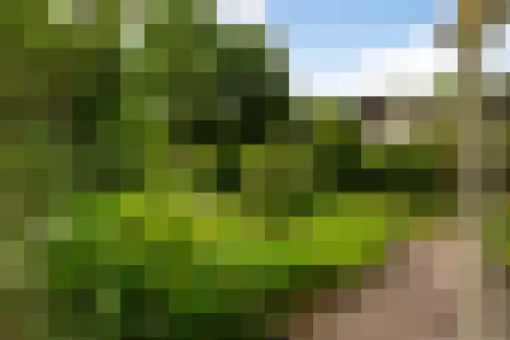 Prinsesselaan 24 Ermelo thumbnail 35