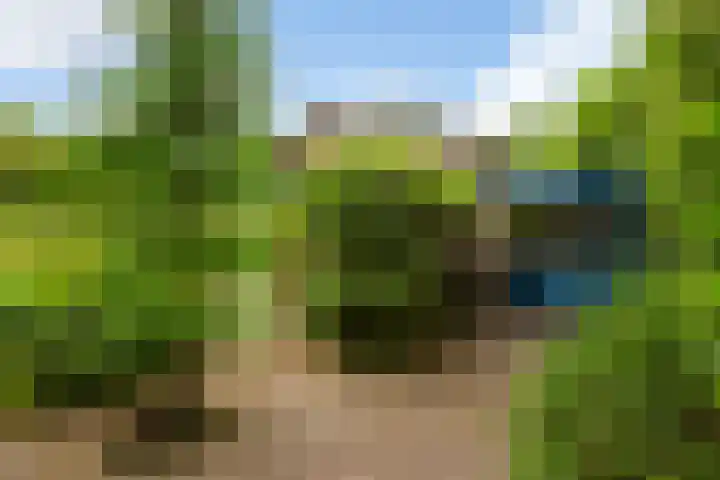 Prinsesselaan 24 Ermelo thumbnail 36