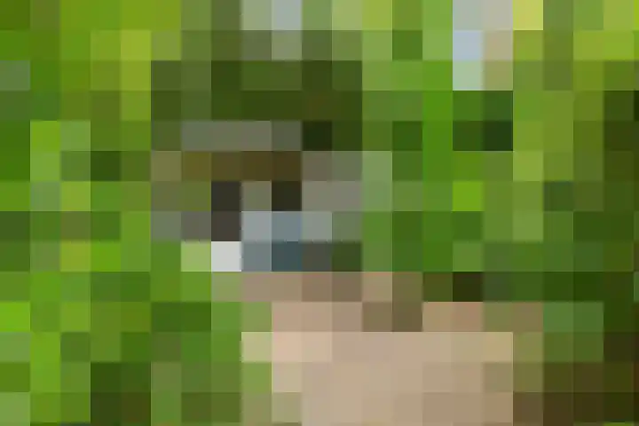 Prinsesselaan 24 Ermelo thumbnail 37