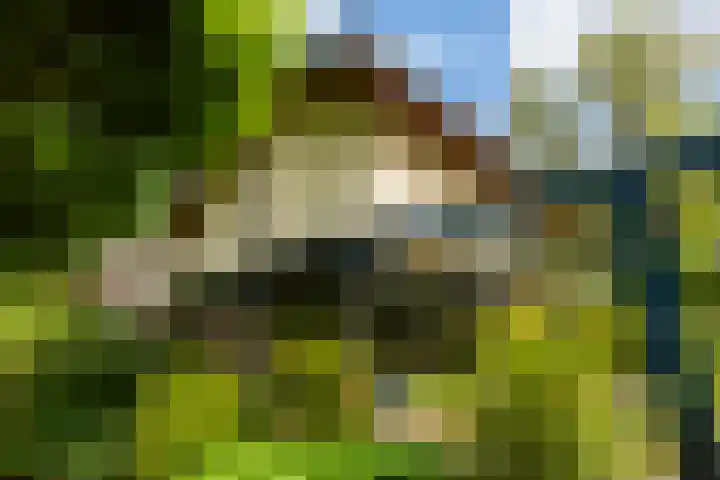 Prinsesselaan 24 Ermelo thumbnail 38