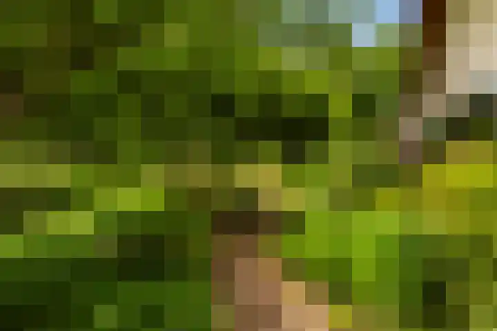 Prinsesselaan 24 Ermelo thumbnail 39