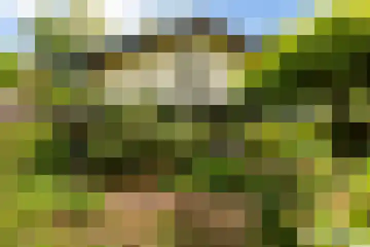 Prinsesselaan 24 Ermelo thumbnail 4